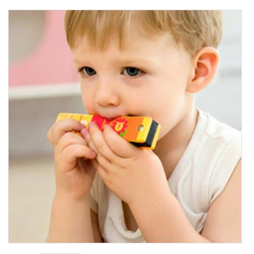 Liên Khúc Chú Ếch Con Cho Bé Vui Chơi Cả Ngày Thỏa Thích Cùng Gia Đình