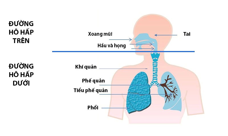 Viêm đường hô hấp thường gặp trẻ em