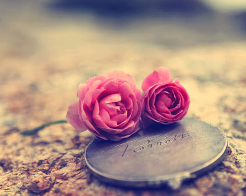 Tứ rỗ ngũ vẩu