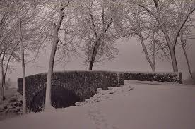 Mẹ lạnh lắm phải không mẹ?