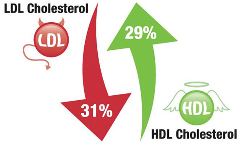 Cholesterol và bé “bự”