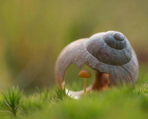 Nếu có thể sống sót, con phải nhớ rằng mẹ rất yêu con